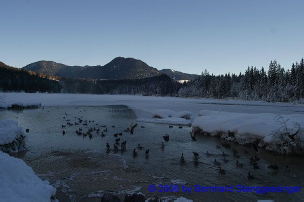 Winterimpressionen018