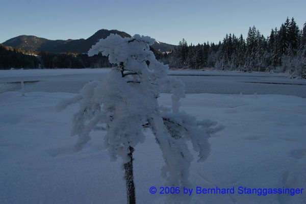 Winterimpressionen020