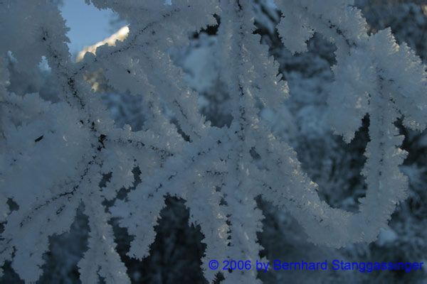 Winterimpressionen022