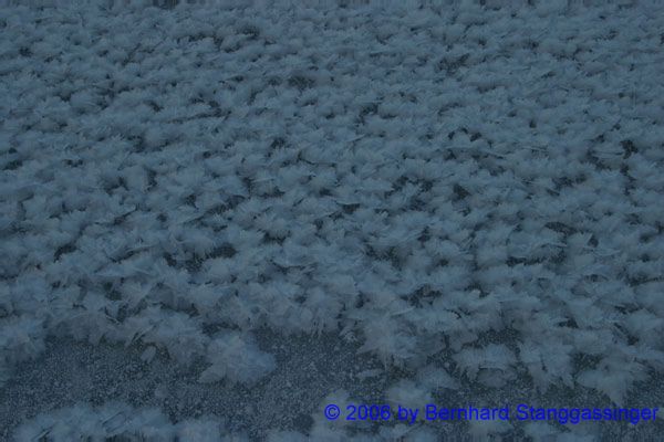 Winterimpressionen023