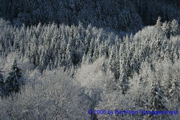 Winterimpressionen028